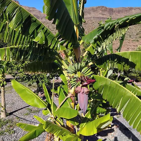 Masai Mara * San Bartolomé